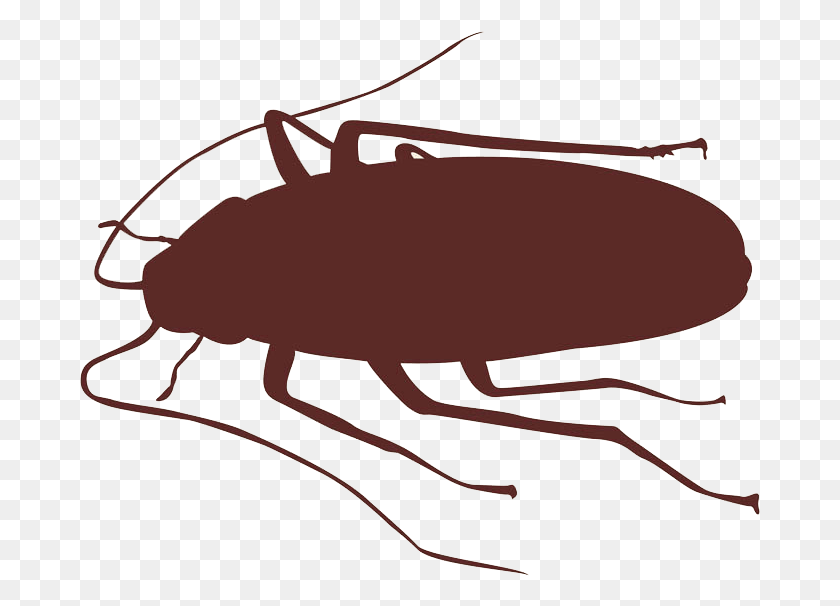 681x546 Cockroach Flat Cockroach Clipart Silhouette, Bow, Insect, Invertebrate HD PNG Download