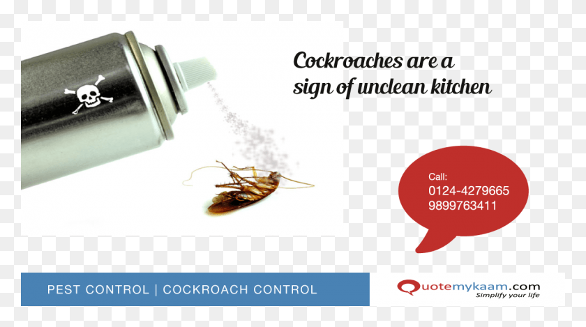 1200x630 Cockroach Pest Control Remedy To Get Rid Of Cockroaches, Insect, Invertebrate, Animal HD PNG Download