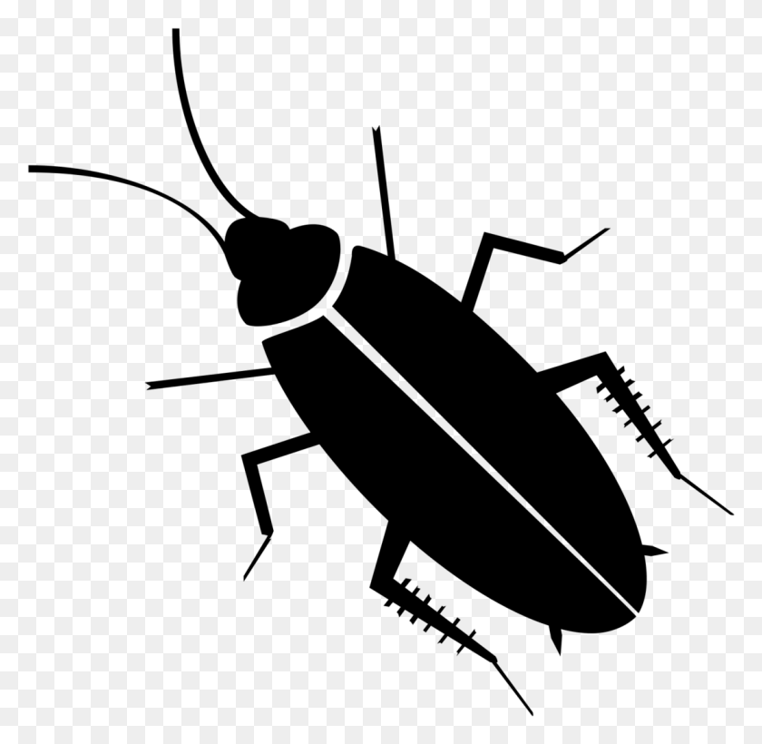 1105x1077 Cockroaches Cockroach Vector, Gray, World Of Warcraft HD PNG Download