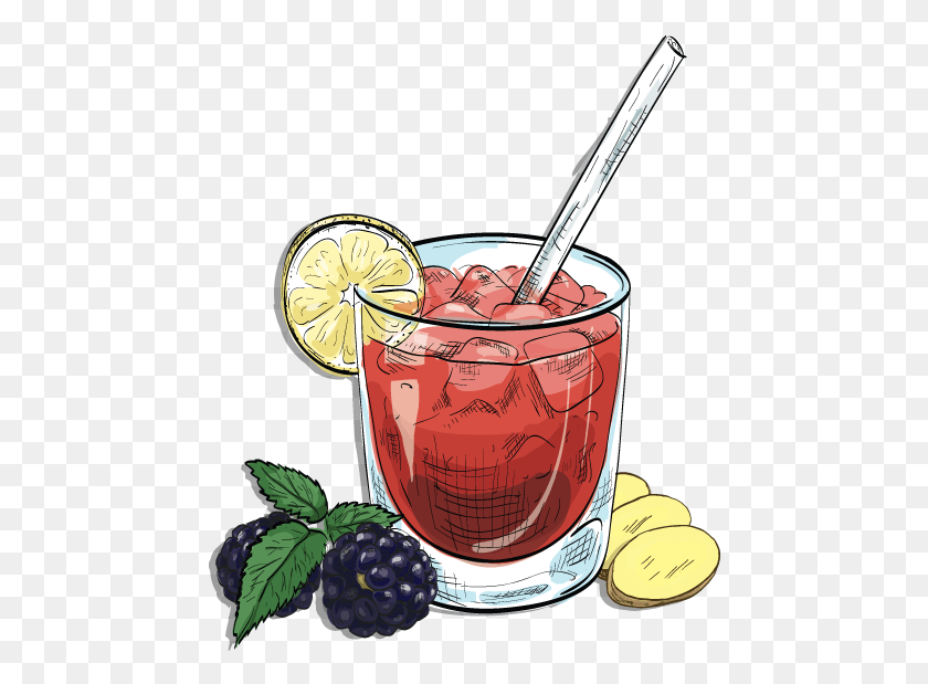 464x559 Cocktail, Plant, Beverage, Fruit HD PNG Download