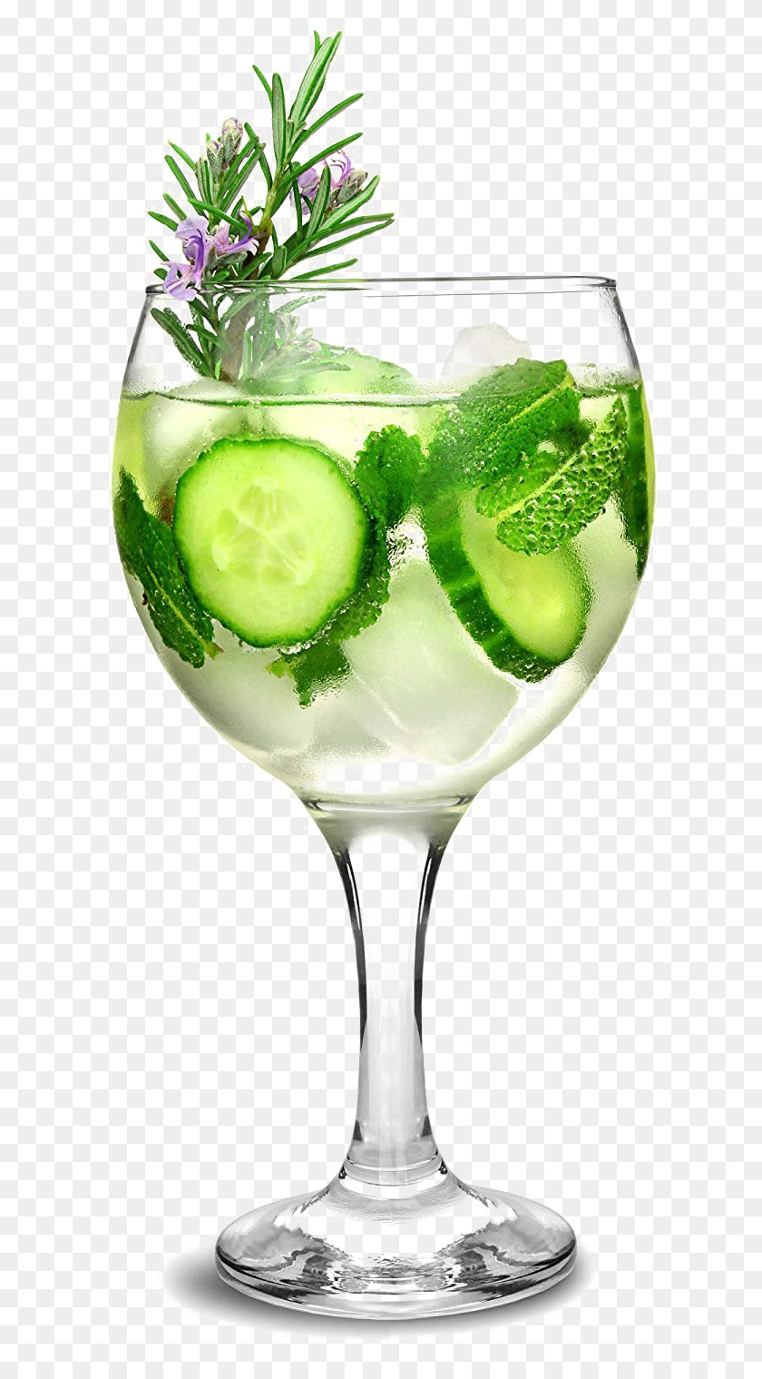 625x1459 Cocktail Glass Gin And Tonic Copa Glass, Plant, Alcohol, Beverage HD PNG Download