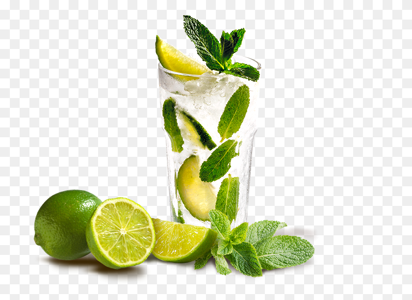 704x552 Cocktail Mojito, Potted Plant, Plant, Vase HD PNG Download