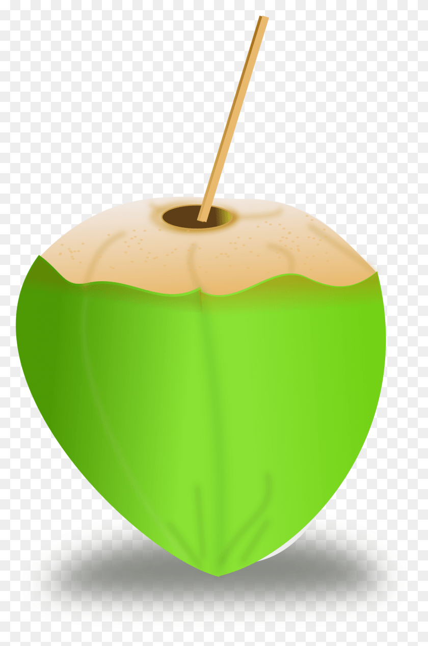 1241x1923 Coco, Planta, Alimentos, Fruta Hd Png