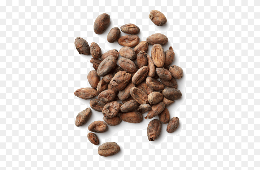 365x489 Cocoa Beans Cacao, Plant, Vegetable, Food HD PNG Download