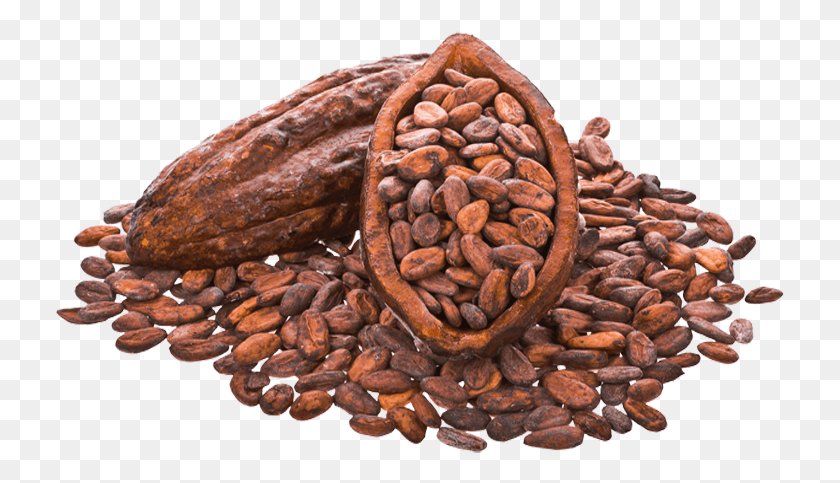 729x423 Descargar Png Granos De Cacao, Fudge, Chocolate, Postre Hd Png