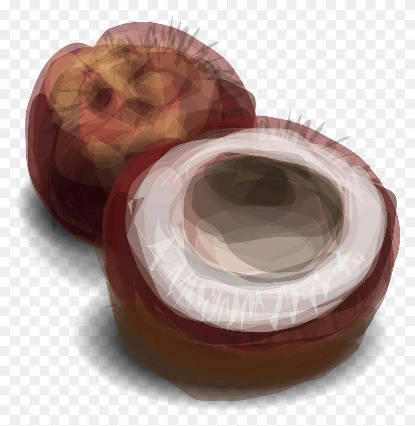 1244x1280 Coconut, Plant, Nut, Vegetable HD PNG Download