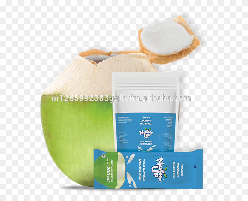575x619 Coconut, Bottle, Box, Plant HD PNG Download
