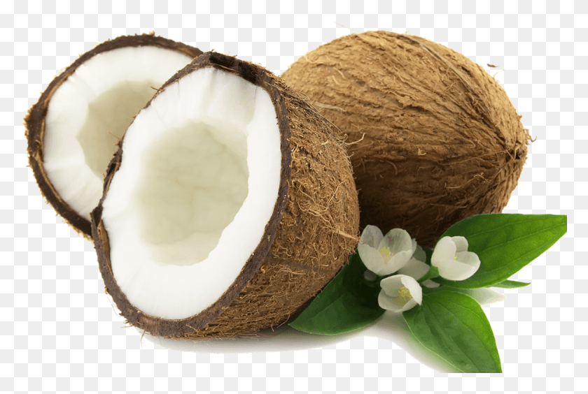 1154x747 Coconut, Plant, Nut, Vegetable HD PNG Download