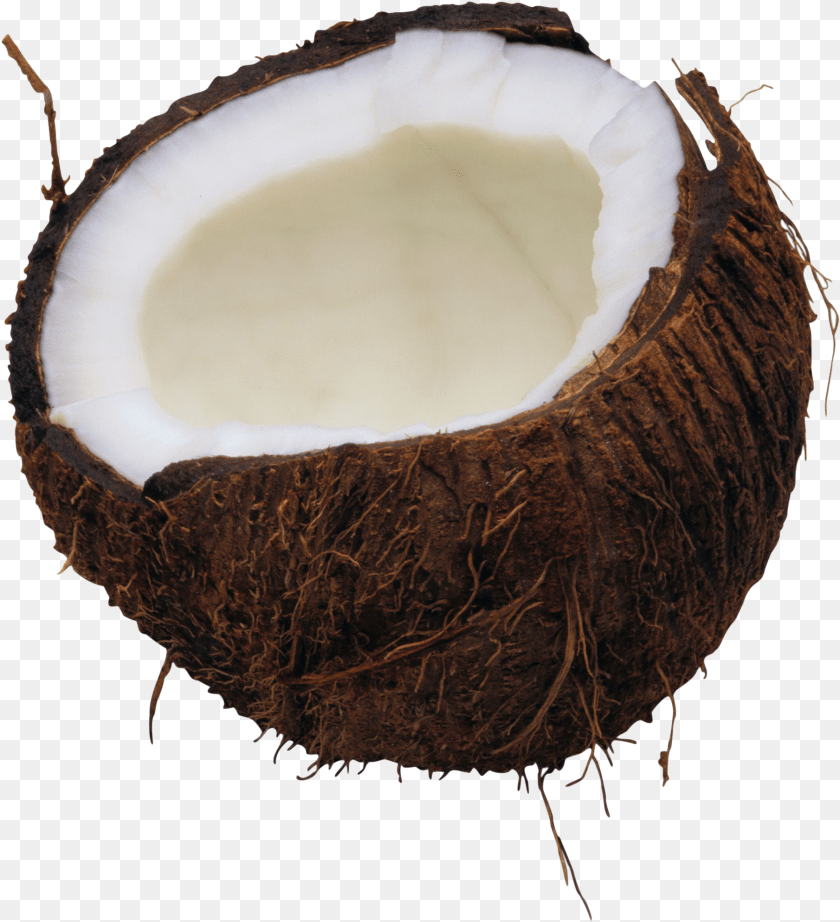 1810x1987 Coconut, Food, Fruit, Plant, Produce Clipart PNG