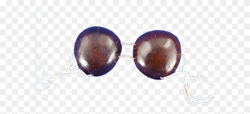 601x325 Coconut Bikini Top Silver, Accessories, Accessory, Glasses Descargar Hd Png