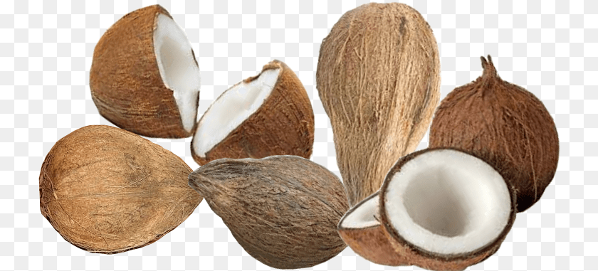 Coconut Coconut Copra, Food, Fruit, Plant, Produce Sticker PNG