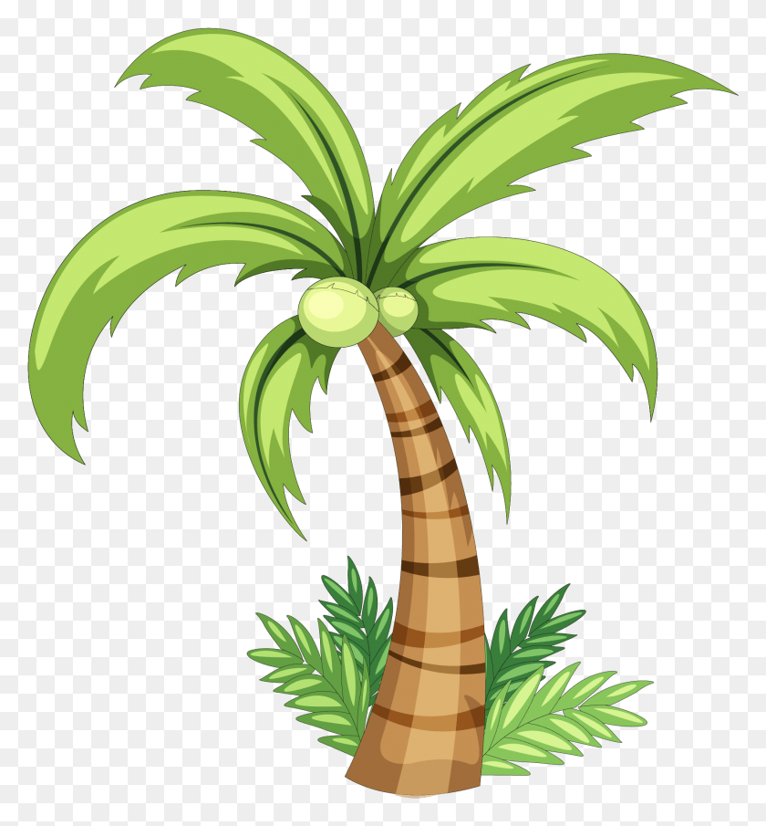 1759x1907 Png Кокосовое Дерево Рисунок Кокосовое Дерево Рисунок, Растение, Пальма, Дерево Png Скачать