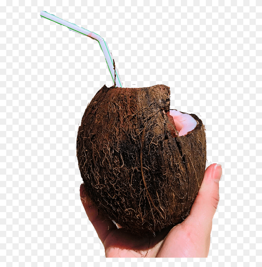 587x796 Coconut Drink Challengesticker Avocado, Plant, Nut, Vegetable HD PNG Download