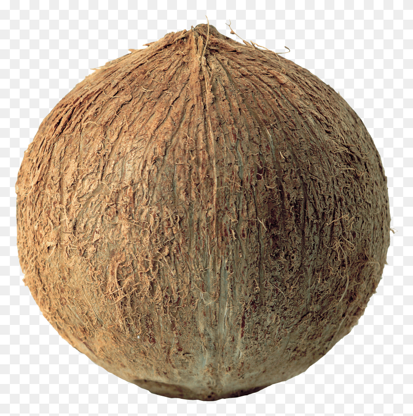 2280x2297 Coconut Free Coconut HD PNG Download