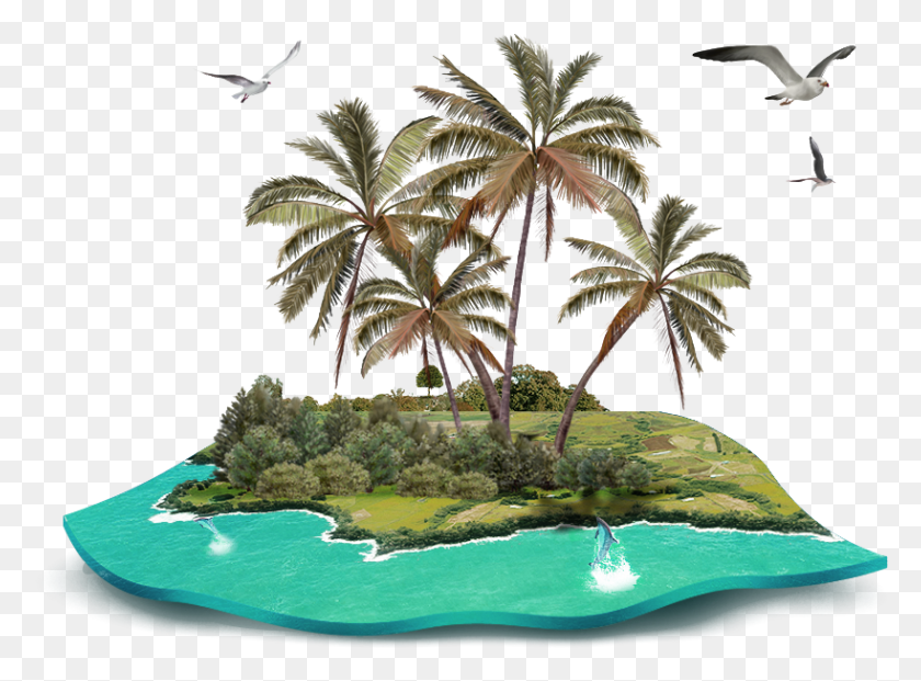 819x590 Descargar Png Coconut Gratis Island Tree Decoración Patrón Beach Island With Trees Cartoon, Land, Outdoors, Nature Hd Png