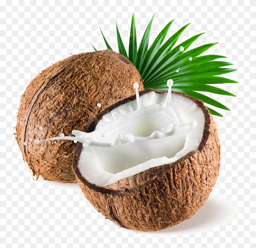 1052x1019 Coconut Image Transparent Background Coconut With Milk, Plant, Nut, Vegetable HD PNG Download