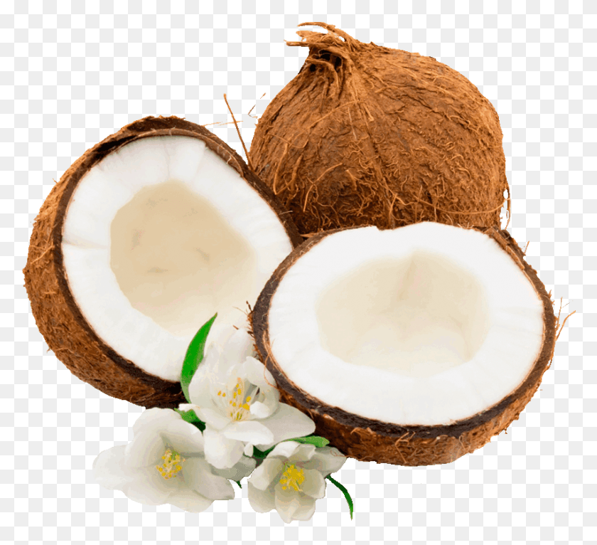 852x772 Coconut Palm Clip Art, Plant, Nut, Vegetable HD PNG Download