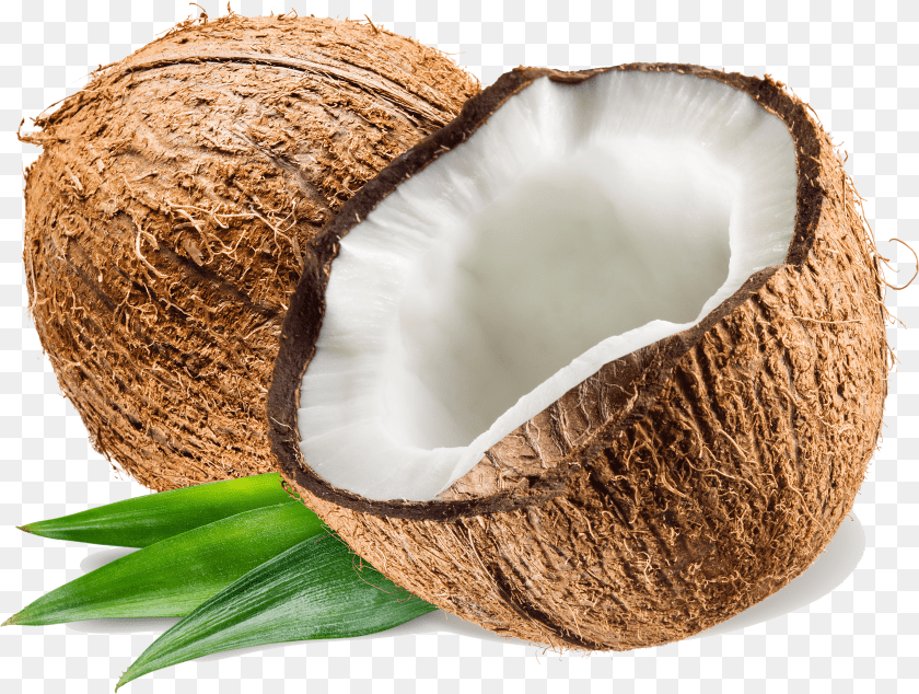 Coconut Pluspng PNG