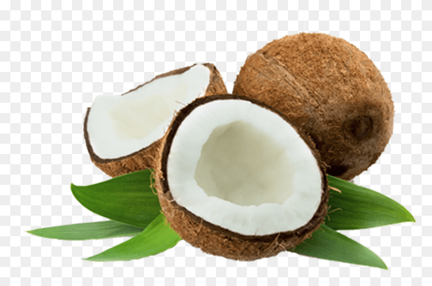 787x502 Coconut Thenarasu High Activated Carbon Biomass, Plant, Nut, Vegetable HD PNG Download
