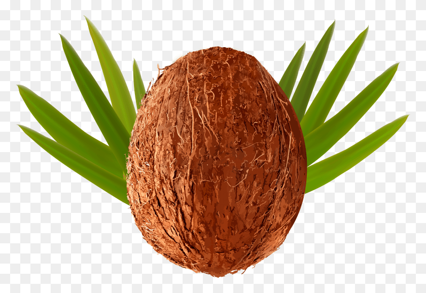 6001x3988 Coco Png / Coco Transparente Hd Png