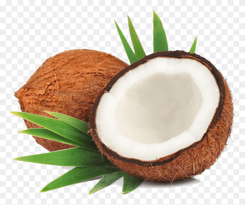 863x711 Coconut Transparent File Coconut Mature, Plant, Nut, Vegetable HD PNG Download