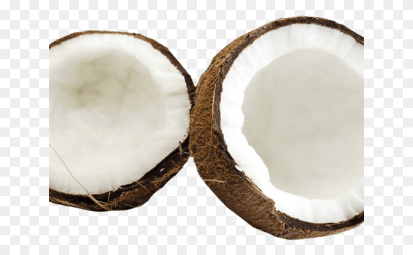 641x460 Coco Png / Coco Png