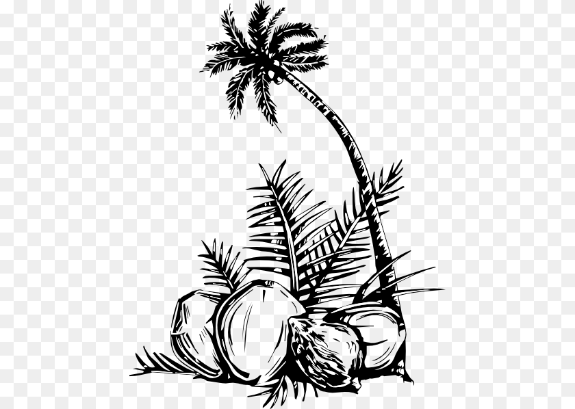 Coconut Tree Art, Food, Fruit, Plant, Produce Clipart PNG