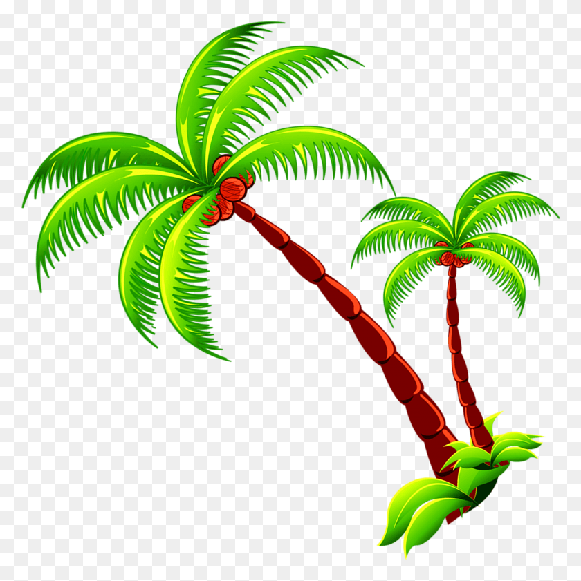 1430x1433 Coconut Tree Branch Free Photo Clipart Coconut, Plant, Vegetation, Tree HD PNG Download