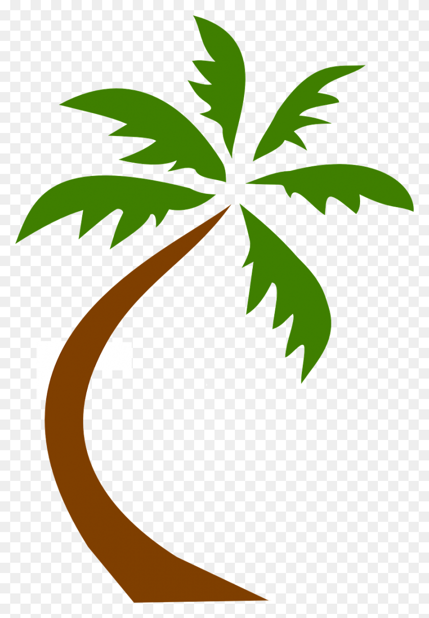 869x1280 Coconut Tree Tropical Palms Image Palm Trees Clip Art Transparent, Plant, Hemp, Weed HD PNG Download