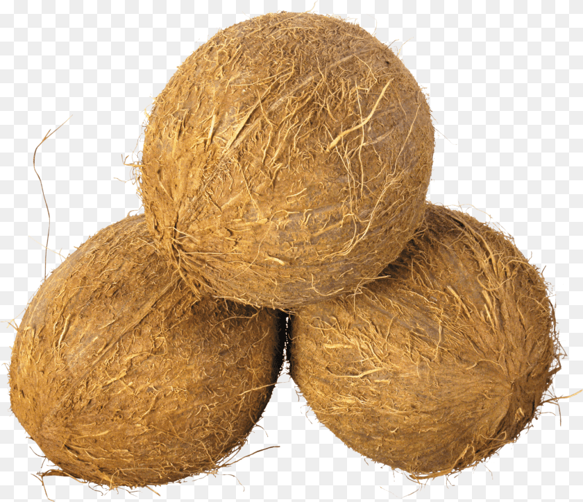 Coconut Trio Coconut Images, Food, Fruit, Plant, Produce Clipart PNG