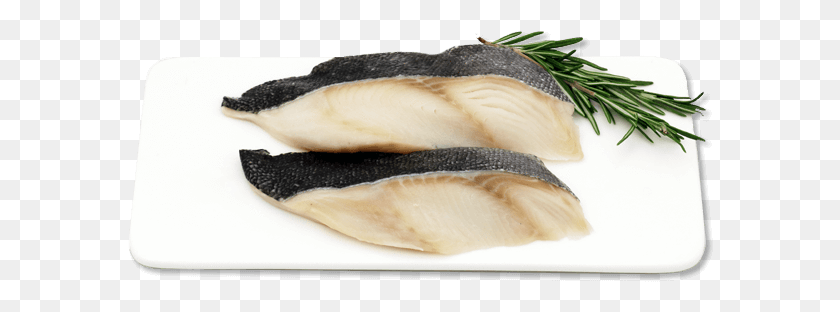 586x252 Cod Fish Fish Slice, Clam, Seashell, Invertebrate HD PNG Download