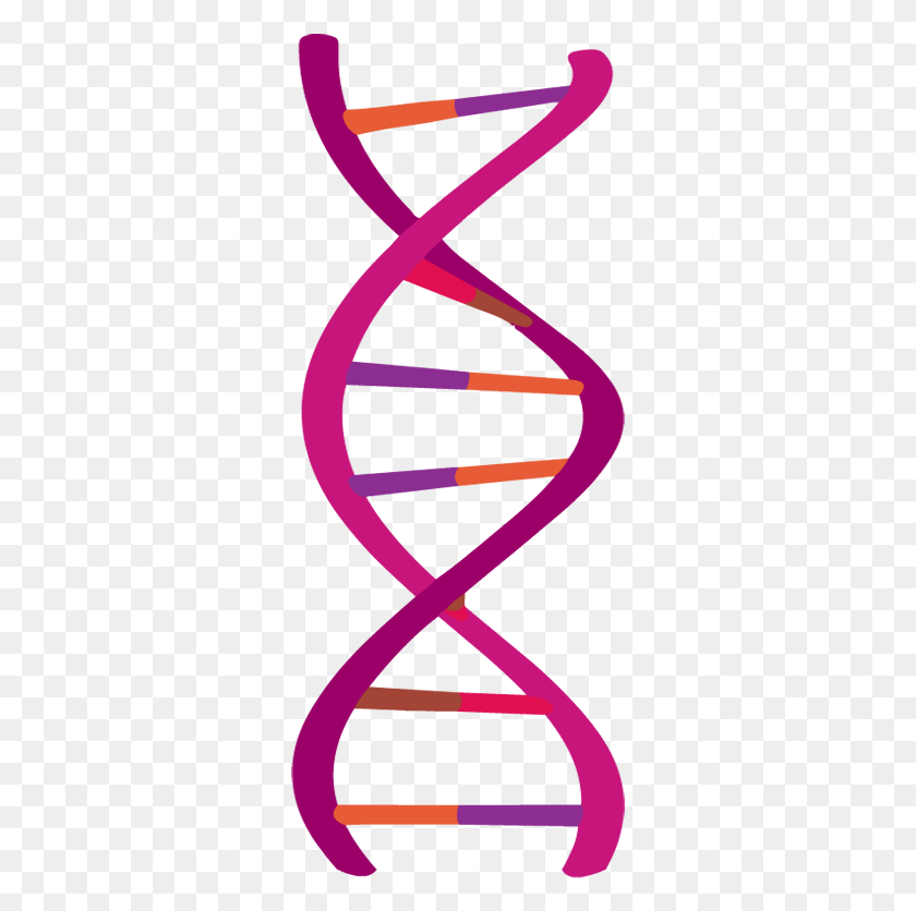 307x776 Code A Sorting Game To Show What You Know About Dna Clipart Dna, Symbol, Arrow, Logo HD PNG Download