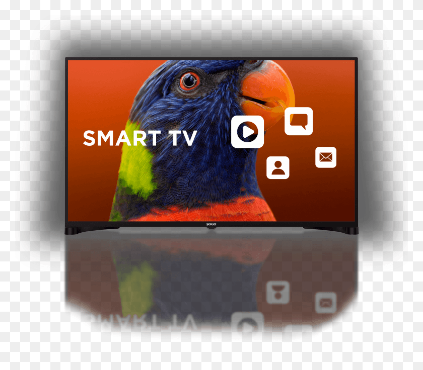 3961x3435 Codigo De Barra Parrot, Bird, Animal HD PNG Download