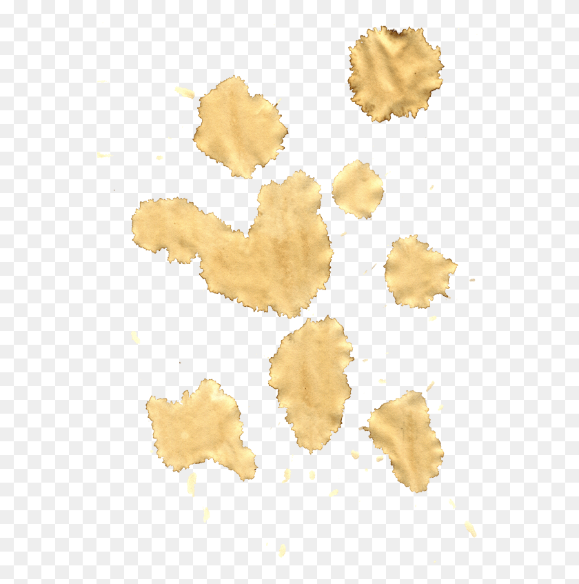 559x787 Cofee Stains Paper, Stain, Rug Descargar Hd Png