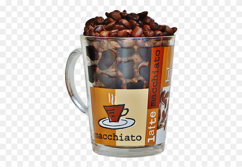 396x521 Descargar Png / Café, Planta, Jarra, Alimentos Hd Png