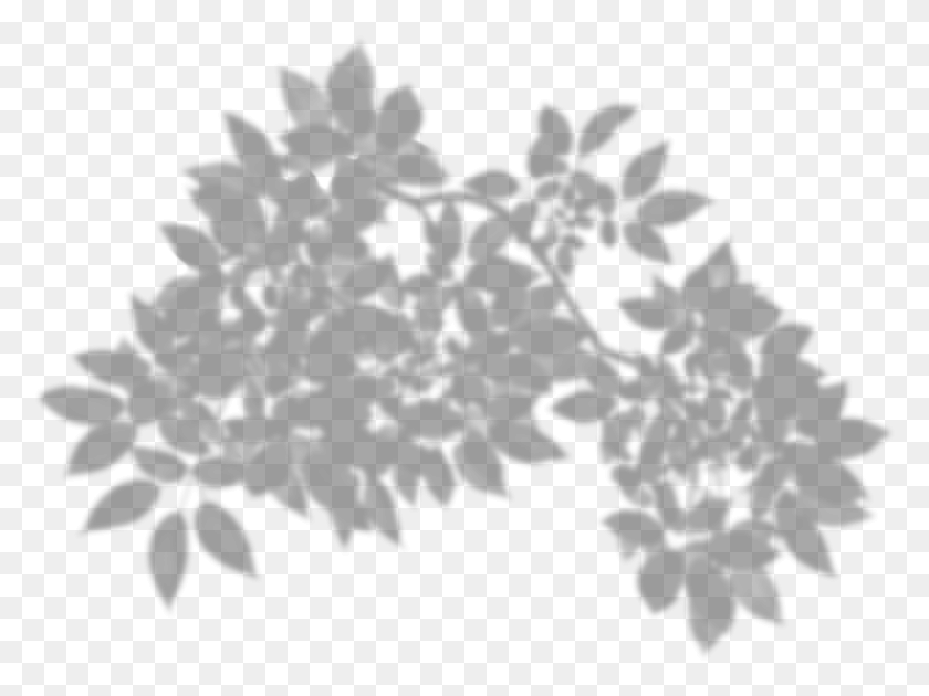 1034x756 Coffee Bean Belt Coffea Transparent Plant Shadow, Gray, World Of Warcraft HD PNG Download