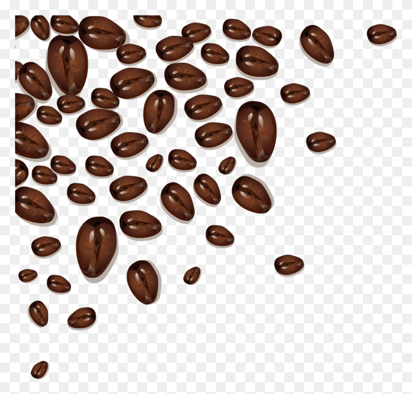997x951 Coffee Bean Cafe Cocoa Bean Coffee, Plant, Seed, Grain HD PNG Download