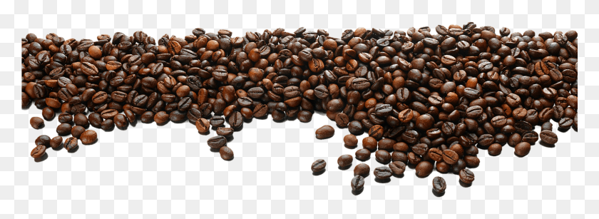 3064x972 Coffee Bean Vector HD PNG Download