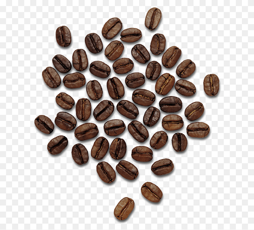 Coffee Beans, Beverage, Coffee Beans Clipart PNG