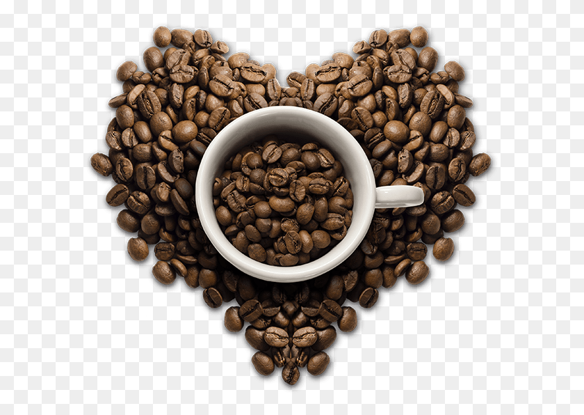 597x536 Coffee Beans Clipart Loose Coffee Coffee Bean Heart, Plant, Chandelier, Lamp HD PNG Download