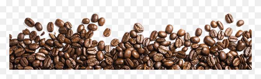 1440x360 Coffee Beans Free Coffee Bean Transparent, Plant, Vegetable, Food HD PNG Download