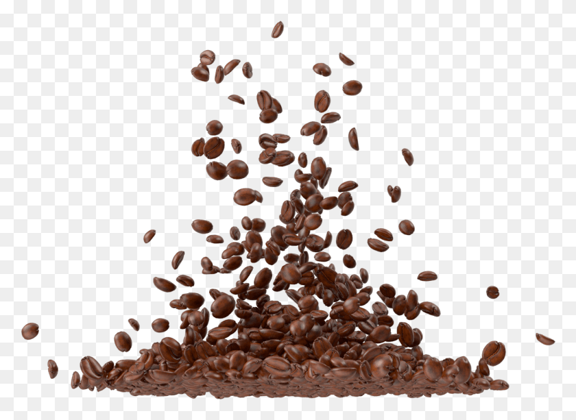 1248x885 Coffee Beans Illustration, Grain, Produce, Vegetable HD PNG Download