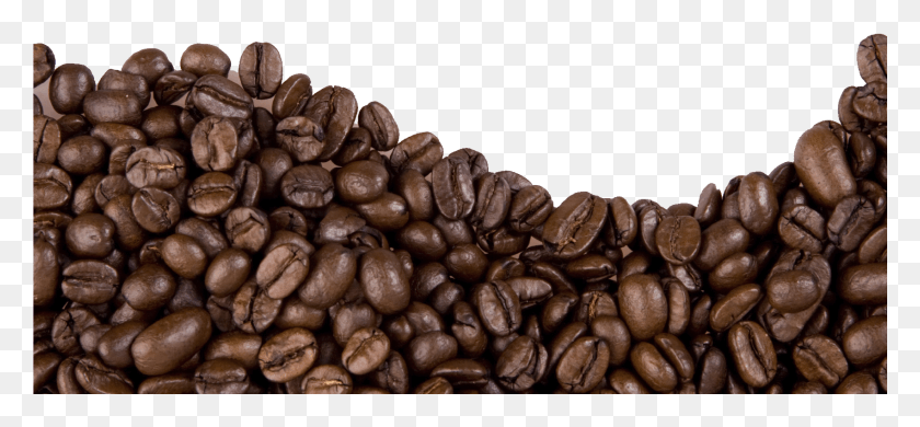 1699x719 Coffee Beans Image Coffee Beans Transparent Background, Plant, Bean, Vegetable HD PNG Download