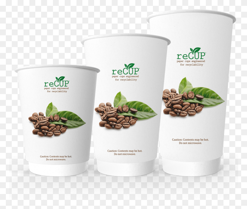 1025x856 Coffee Cup Maker In Ennis Leads The World Sustainable Coffee Cups, Potted Plant, Plant, Vase HD PNG Download