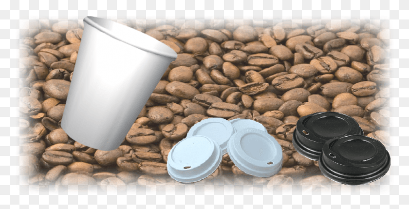 804x381 Coffee Cups And Lids, Plant, Coffee Cup, Cup HD PNG Download
