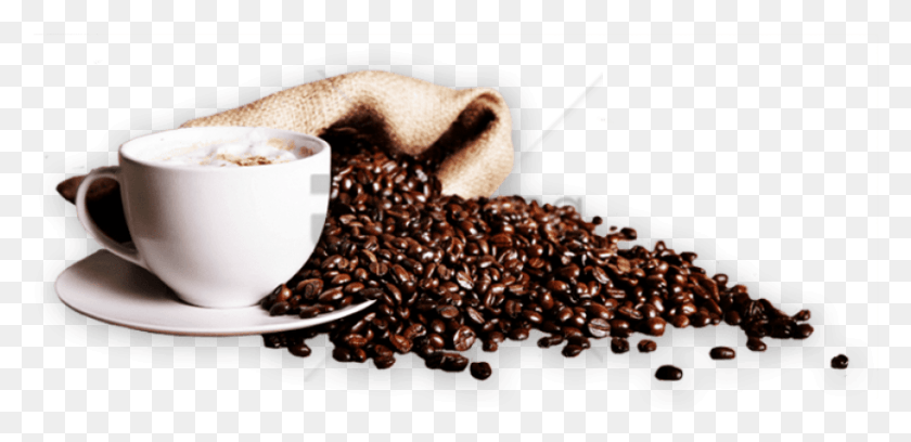 832x372 Coffee Image With Transparent Background Coffee Cup Bean, Cup, Plant, Latte HD PNG Download