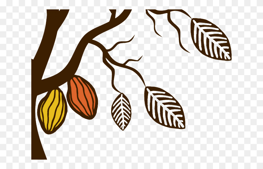 640x480 Coffee Plant Clipart Chocolate Tree, Nut, Vegetable, Food HD PNG Download