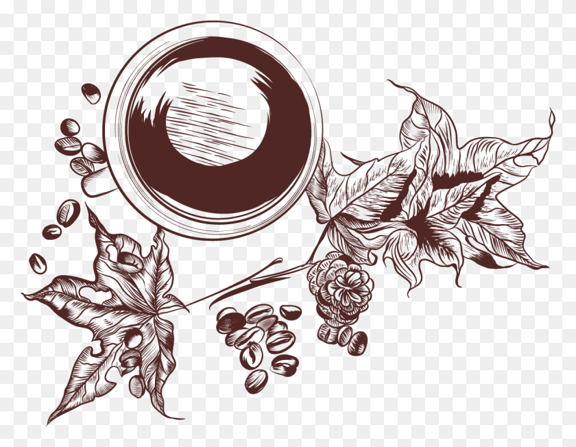 1166x885 Coffee Tea Latte Cafe Coffee Plant Vector, Graphics, Floral Design HD PNG Download