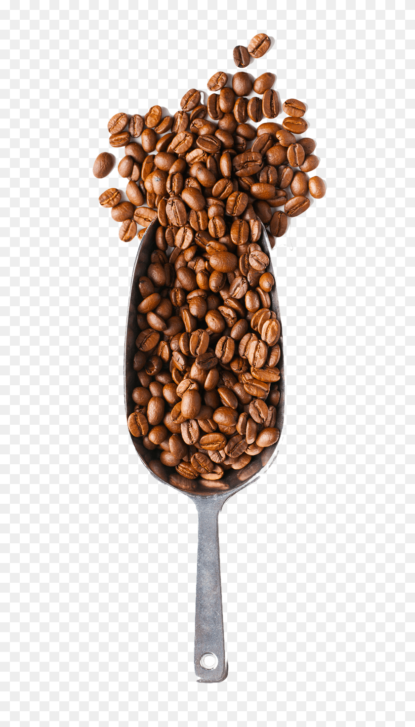 615x1412 Coffee Time Java Coffee, Plant, Vegetable, Food HD PNG Download