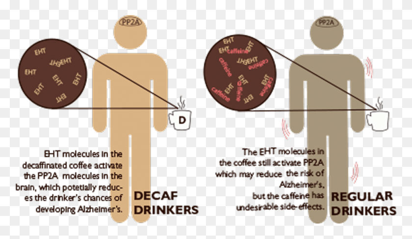966x530 Coffeeeeee Coffee Benefits For Brain, Plot, Diagram, Text HD PNG Download